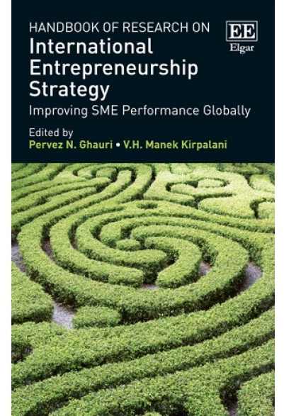 International Entrepreneurship Strategy